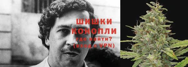 ГАЛЛЮЦИНОГЕННЫЕ ГРИБЫ Армянск