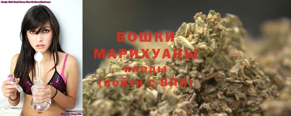 сатива Краснослободск