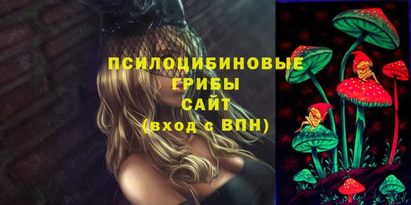 ГАЛЛЮЦИНОГЕННЫЕ ГРИБЫ Армянск