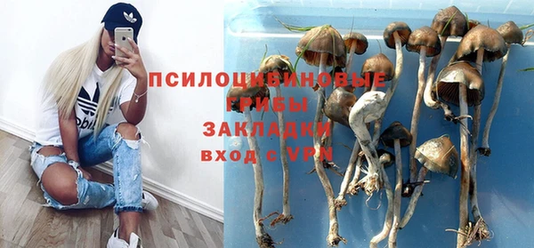 ALPHA PVP Арсеньев