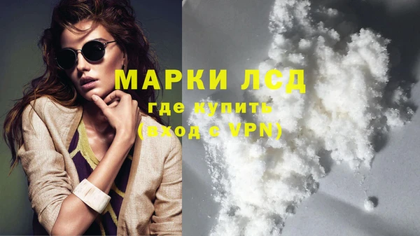 спайс Аркадак