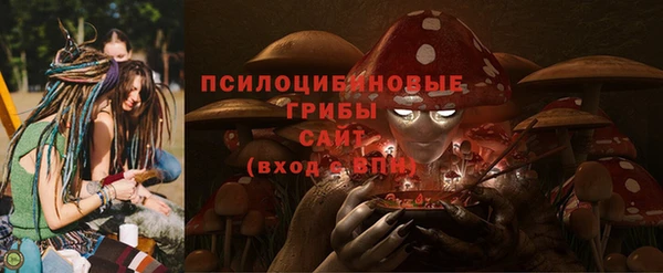 спайс Аркадак
