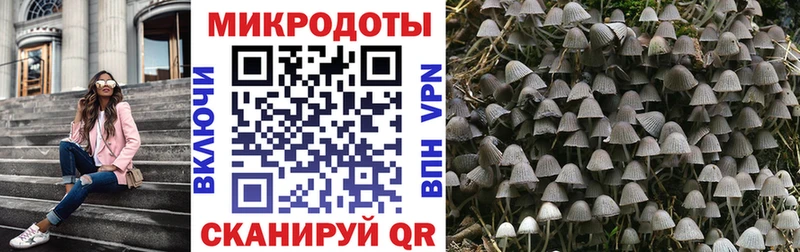 кракен tor  Ковылкино  Псилоцибиновые грибы Psilocybine cubensis 
